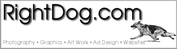 rightdog.com